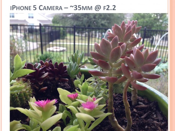 Camera Buying Comparison Photo - iPhone