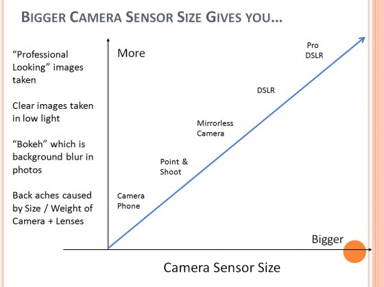 camer  sensor size graph